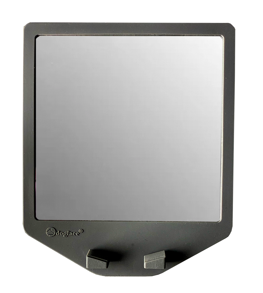 shower-shaving-mirror-1